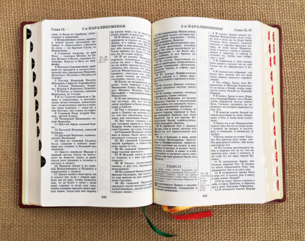 bibliya-v-kozhe